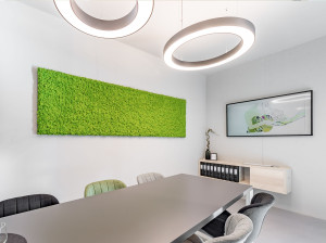 Растительная картина из мха