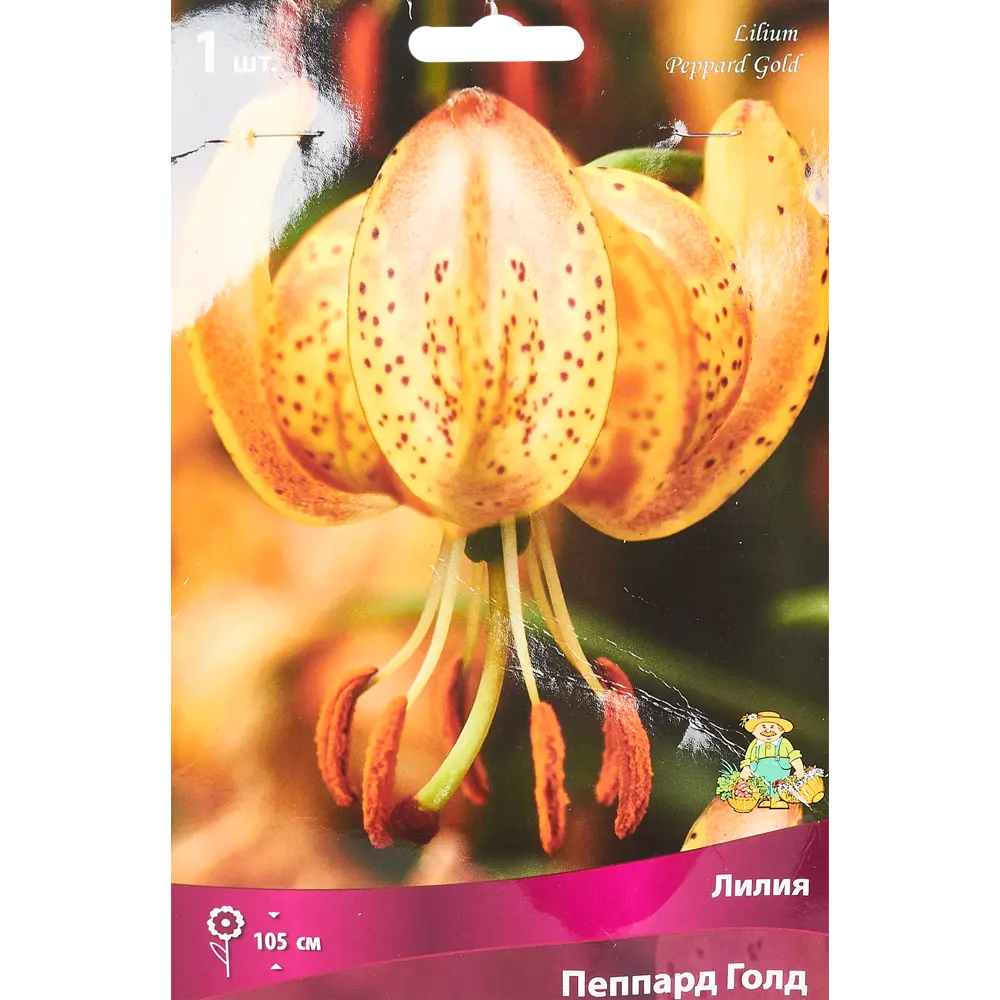ПОИСК Лилия Пеппард Голд - луковицы для изысканного сада 85205787 STLM-1567895