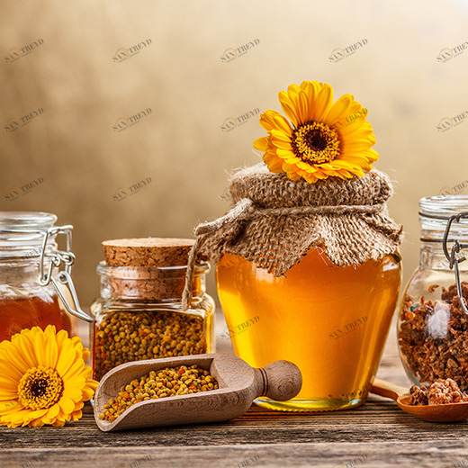 C1-309 Фотообои DIVINO Collection C 1.47х2 м C1309