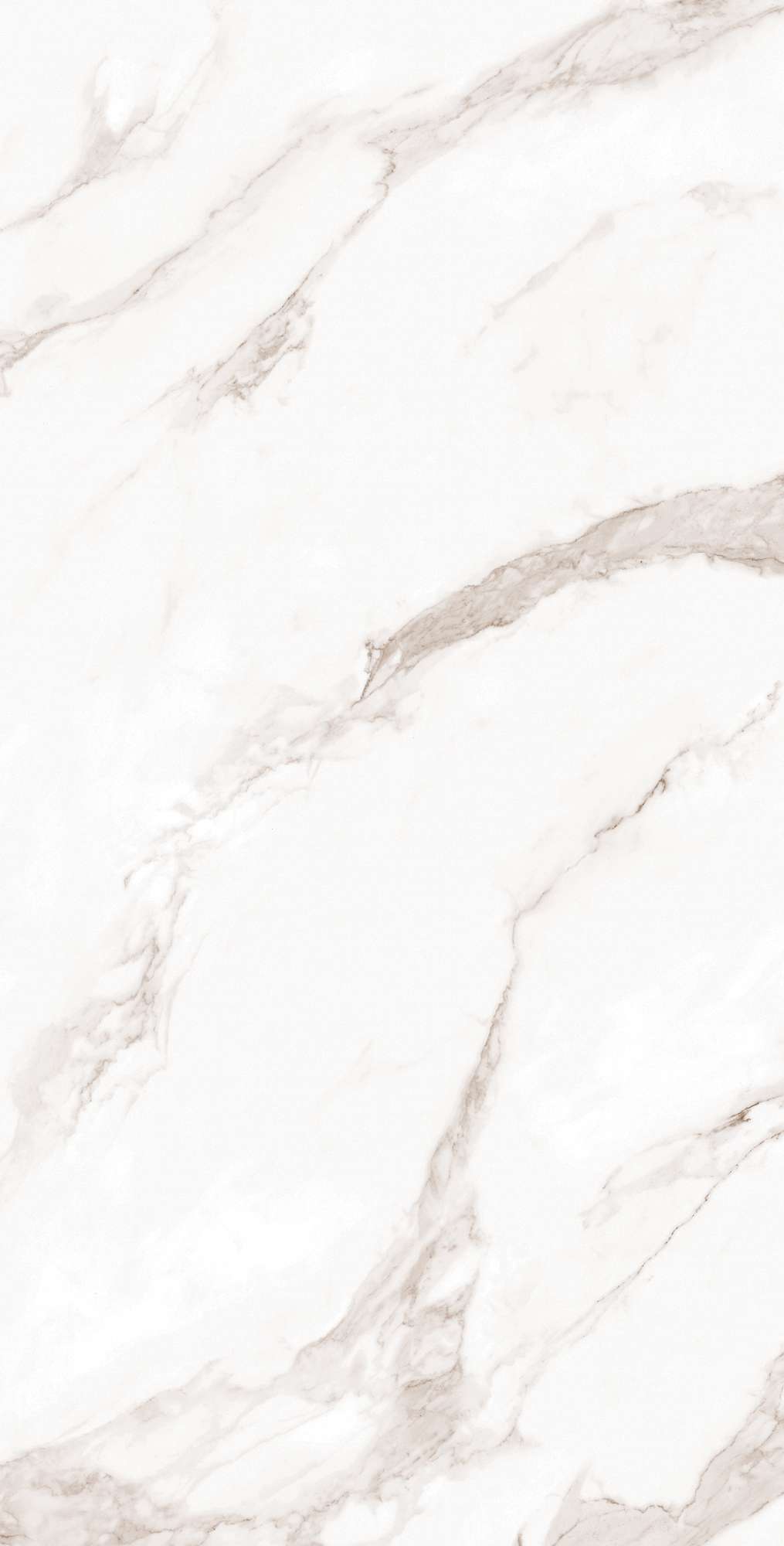 CALACATTA BIANCO ARCADIA CERAMICA FP1019-A - Вид №9