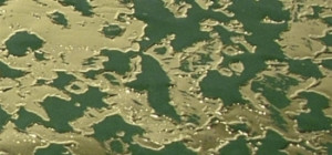 3111529 Фольга "восковая", Парча, 20x10 см, упаковка 1 шт., цвет зеленый