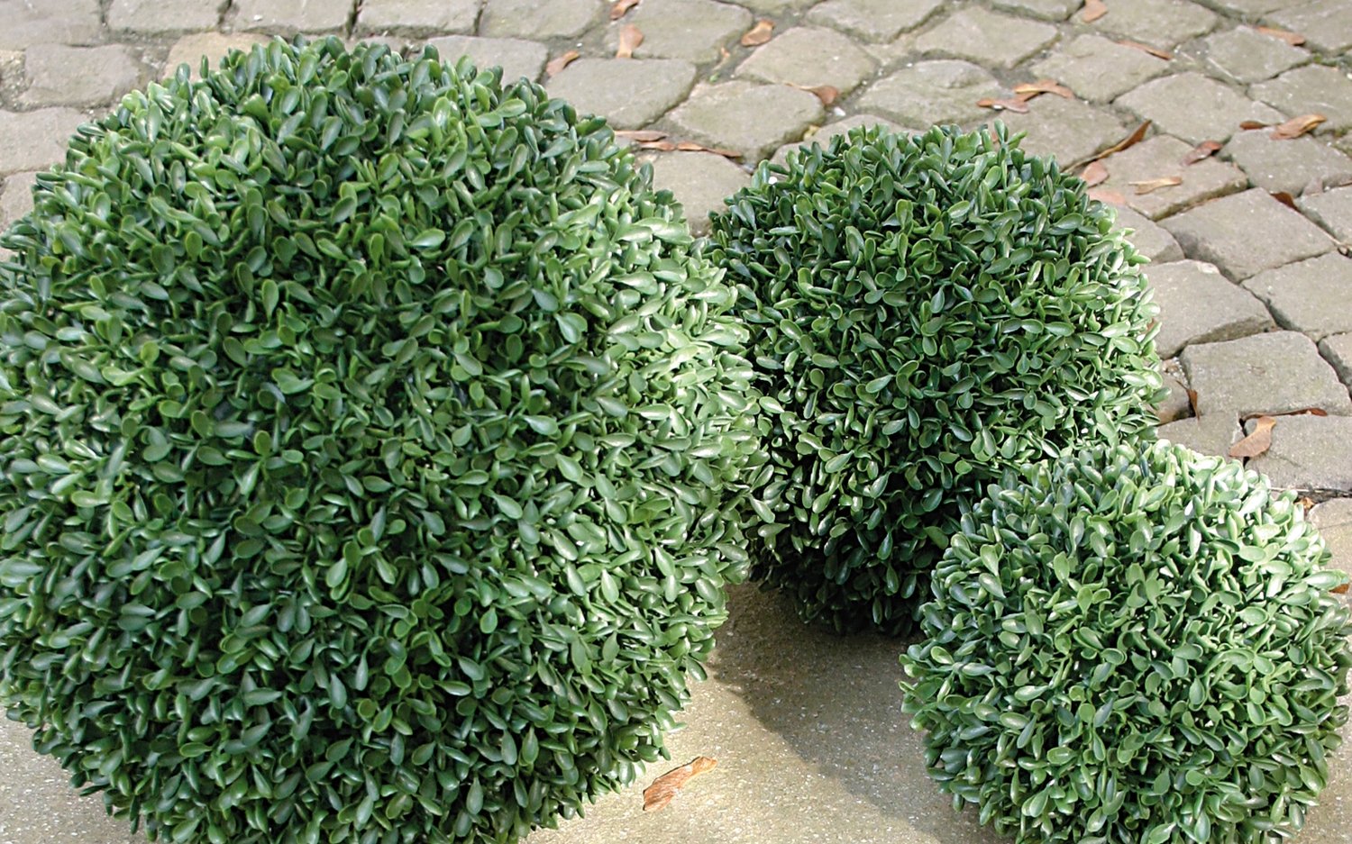 4878 883 a3 Искусственный шар самшит, синтетический материал, Ø 33 см, зеленый H-andreas 