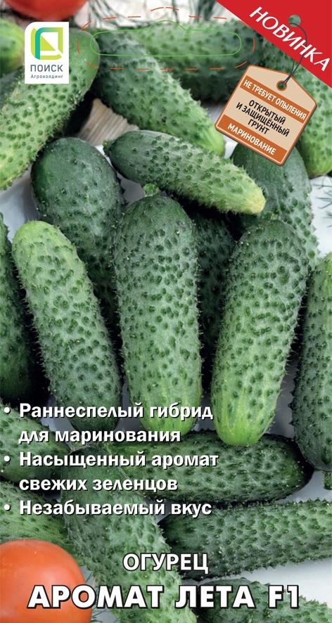 Поиск Семена огурца Аромат лета F1 - ранний урожайный сорт 86217816 STLM-0066857