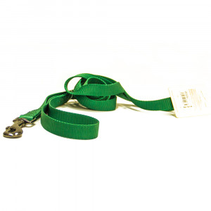 ПР0041986 Поводок для собак 20x2000мм нейлон Зелёный Great&Small
