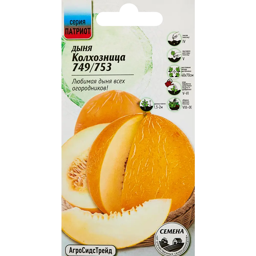 Семена овощей дыня Колхозница 10 шт. 89347956 STLM-2140320 Santreyd 