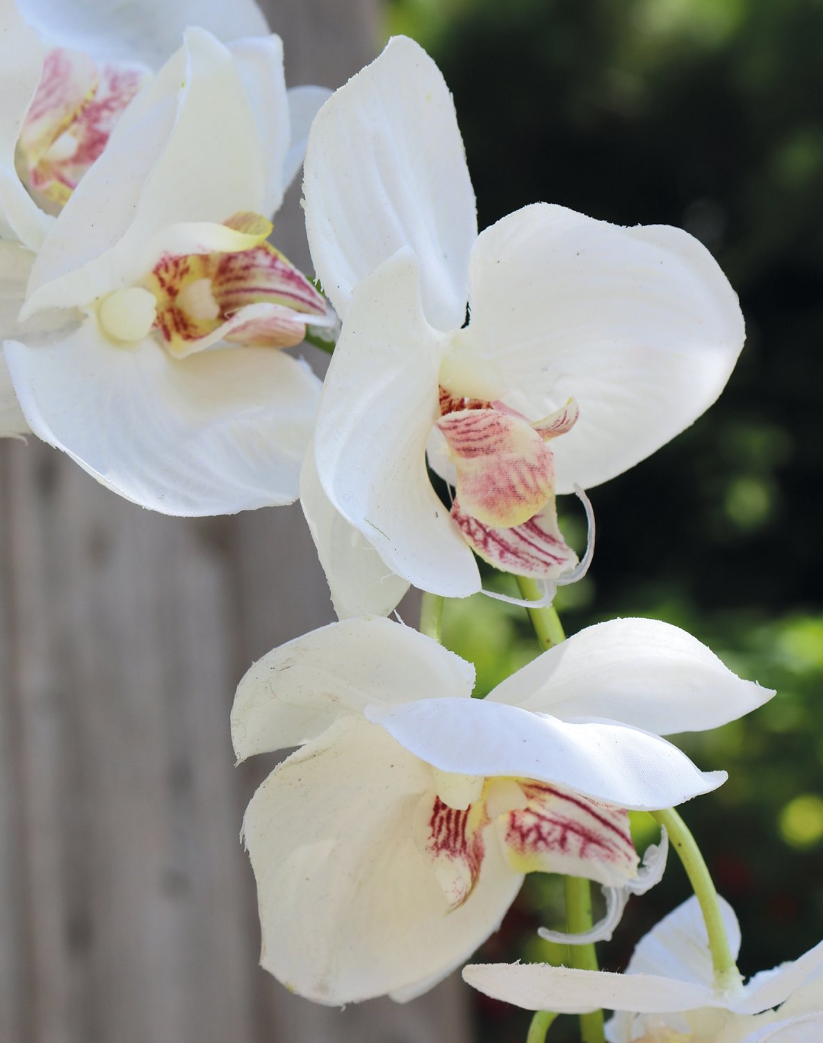 2398 778 a2 Искусственная орхидея Phalaenopsis, 92 см, real touch, бежево-белая H-andreas 