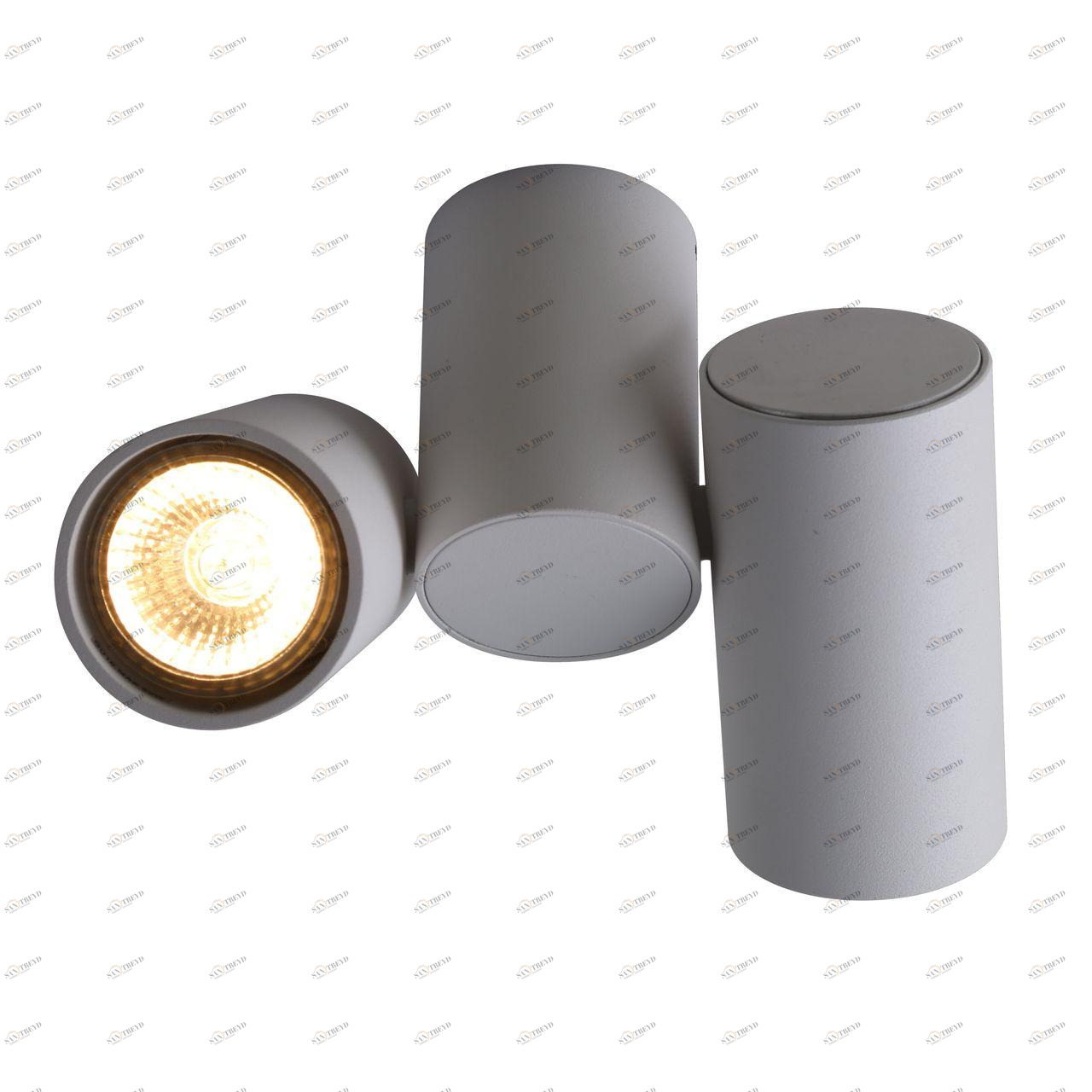 Потолочный светильник Divinare Gavroche 1354/03 PL-2 DIVINARE GAVROCHE 103087 Белый 