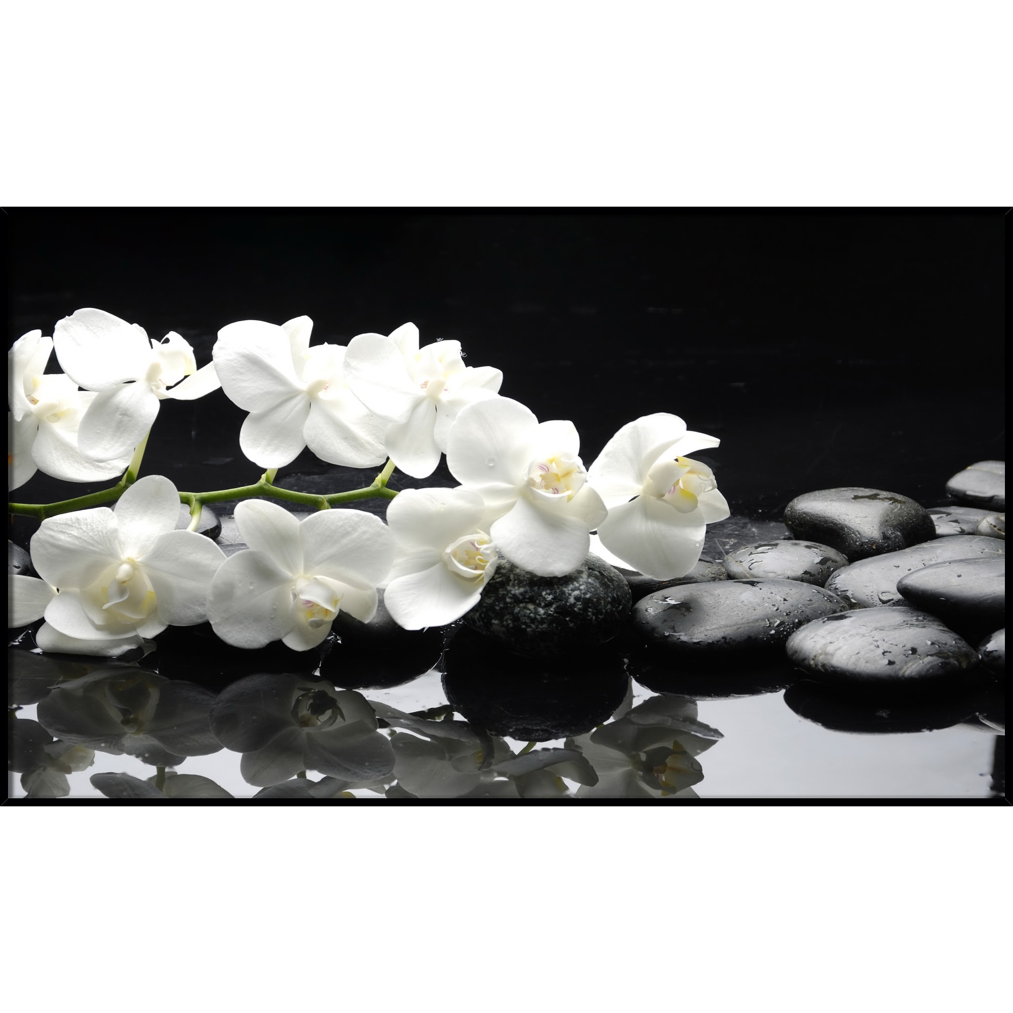 83211844 Картина в раме «Орхидеи на камнях» 60х100 см Santreyd 