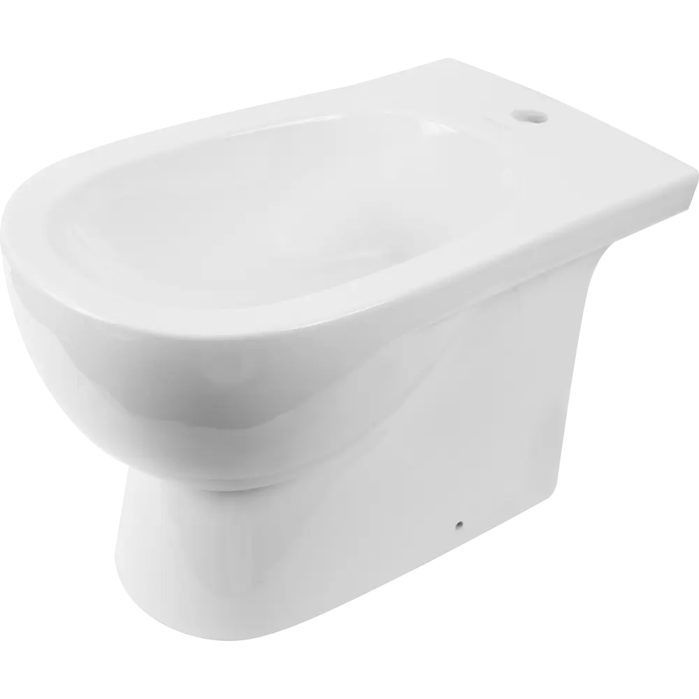 SANITA LUXE Blanc — напольное биде классической формы 82010710 STLM-0980467