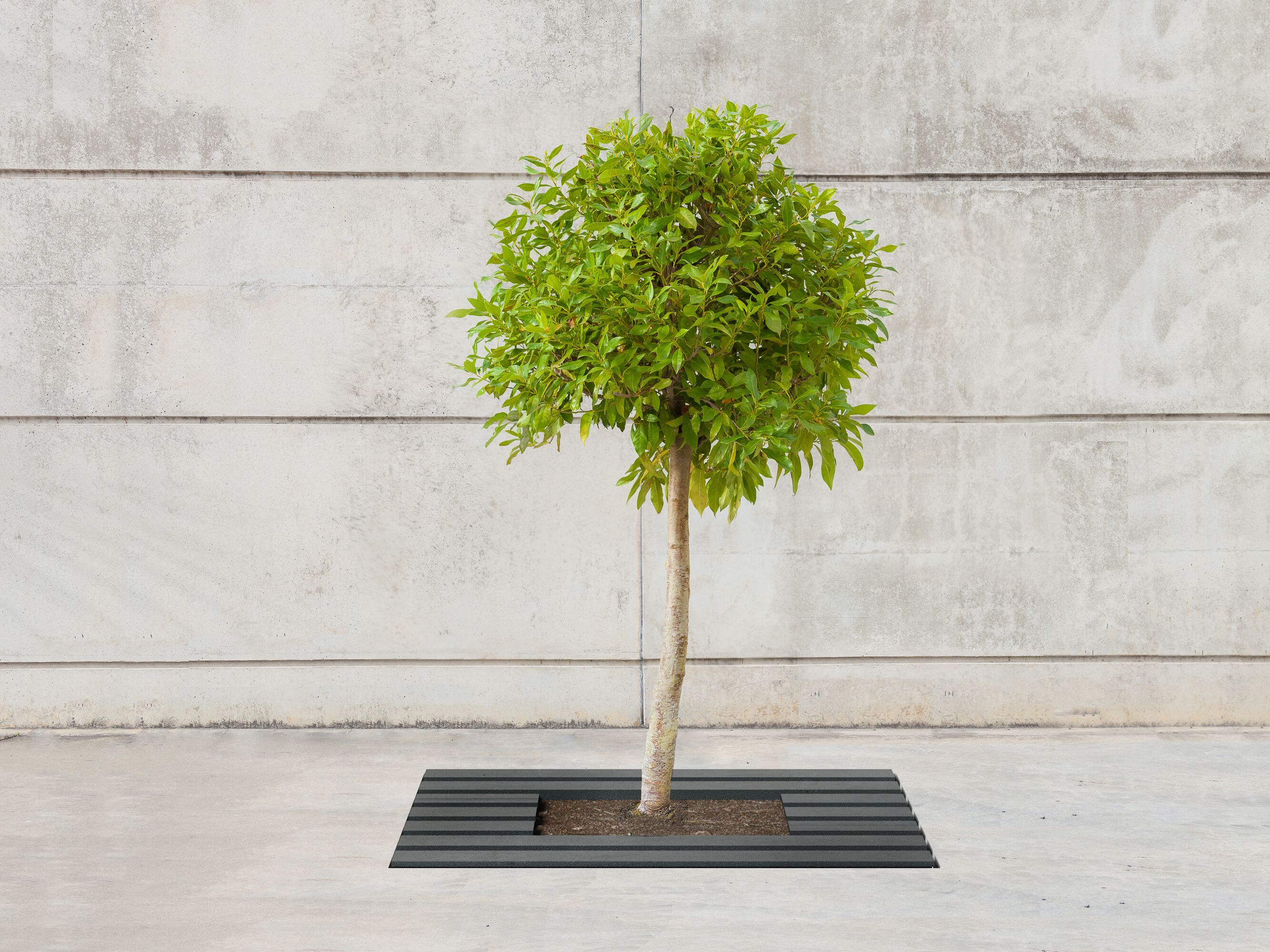 Железная решетка для деревьев SIT Wade ARCH-00118282