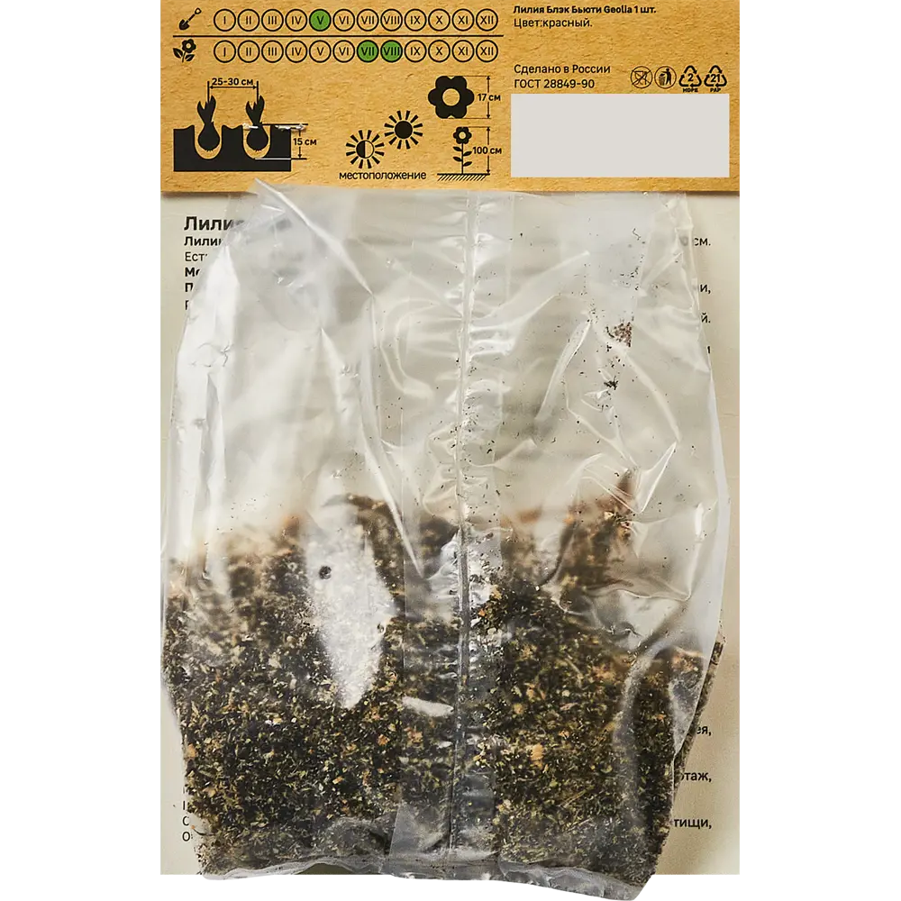 Лилия GEOLIA Блэк Бьюти - малиновое украшение сада 86408621 STLM-1566703 - Вид №1