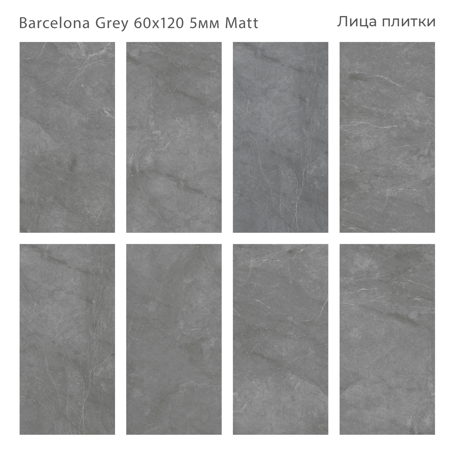 Элегантный керамогранит Staro Slim Marbles BARCELONA GREY STP-ST311 INCOLOR - Вид №2