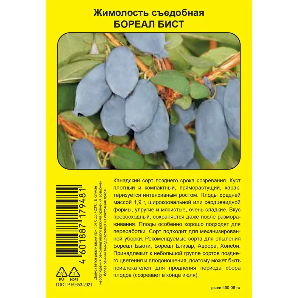 Жимолость съедобная Бореал Бист пакет h37 см 89452240 STLM-2120683 Santreyd 