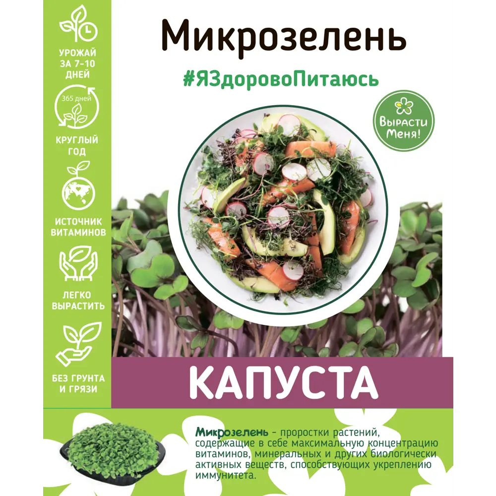 AGRONI Набор для выращивания микрозелени китайской капусты 83562749 STLM-0041860