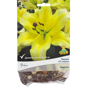 Лилия Барута Santreyd - луковица ОТ-гибрида с лимонно-желтыми цветами 82118707