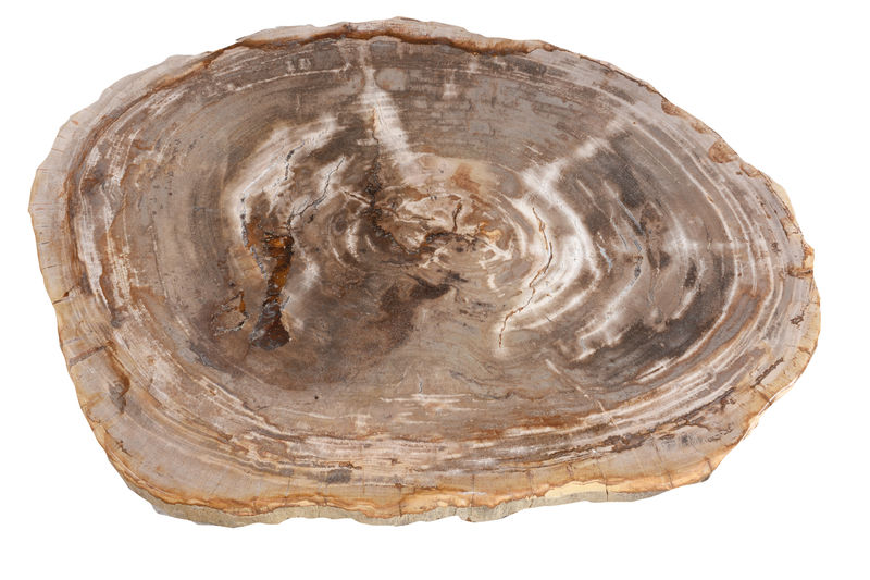 FUBR037 Приставной столик из окаменелого дерева ijlbrown  - Вид №1