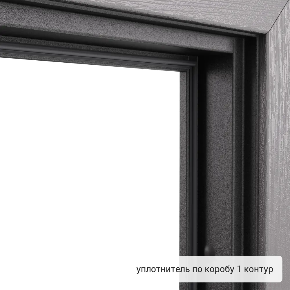 Дверь входная металлическая Хьюго 01 950 мм левая TOREX STLM-2143400 - Вид №10