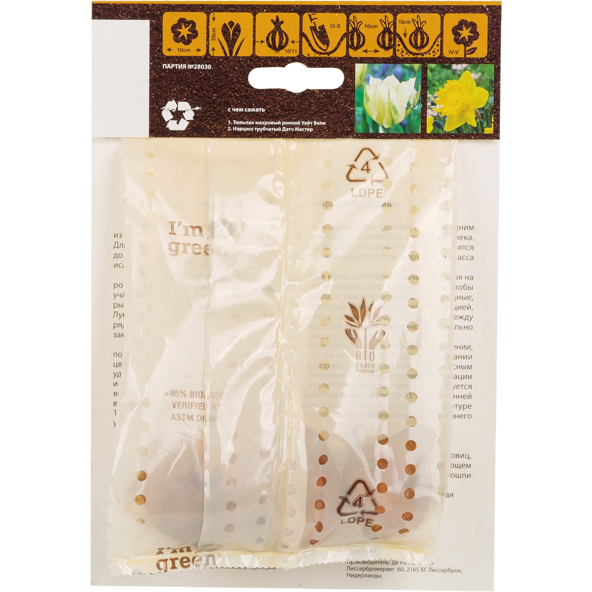 11564880 Тюльпан Кристмас Дрим 10/11, 3 шт Santreyd  - Вид №1