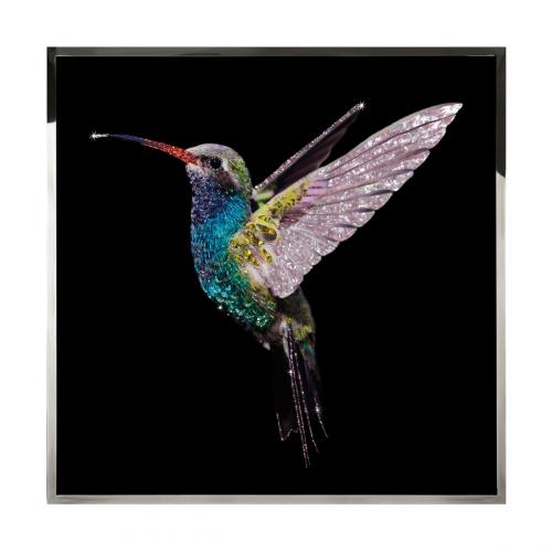 Colibri Big Смешанная техника Visionnaire 