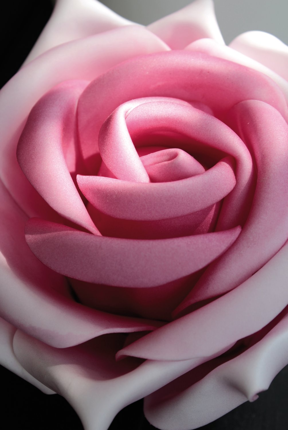 7896 500 a3 Шелковый мягкий цветок 'rose', 28 см, светло-розовый H-andreas  - Вид №6