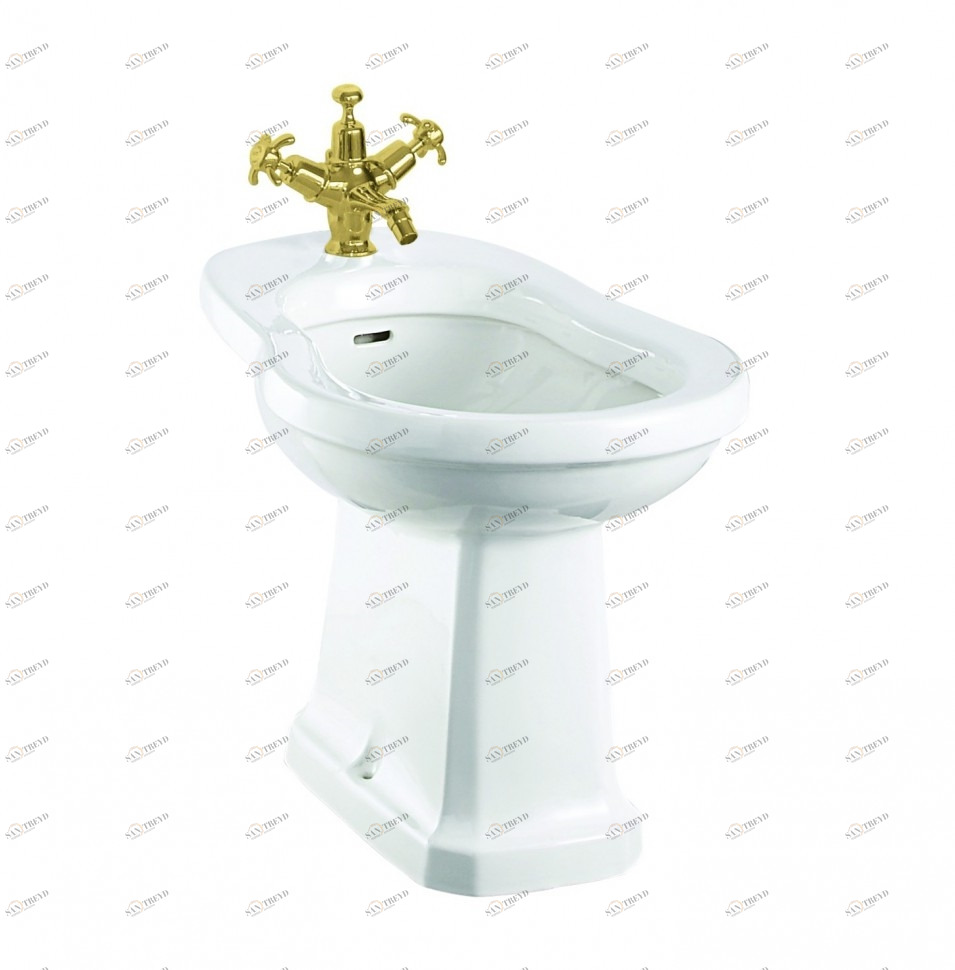 P4 GOL (P4 + SP387) Биде напольное  Burlington 