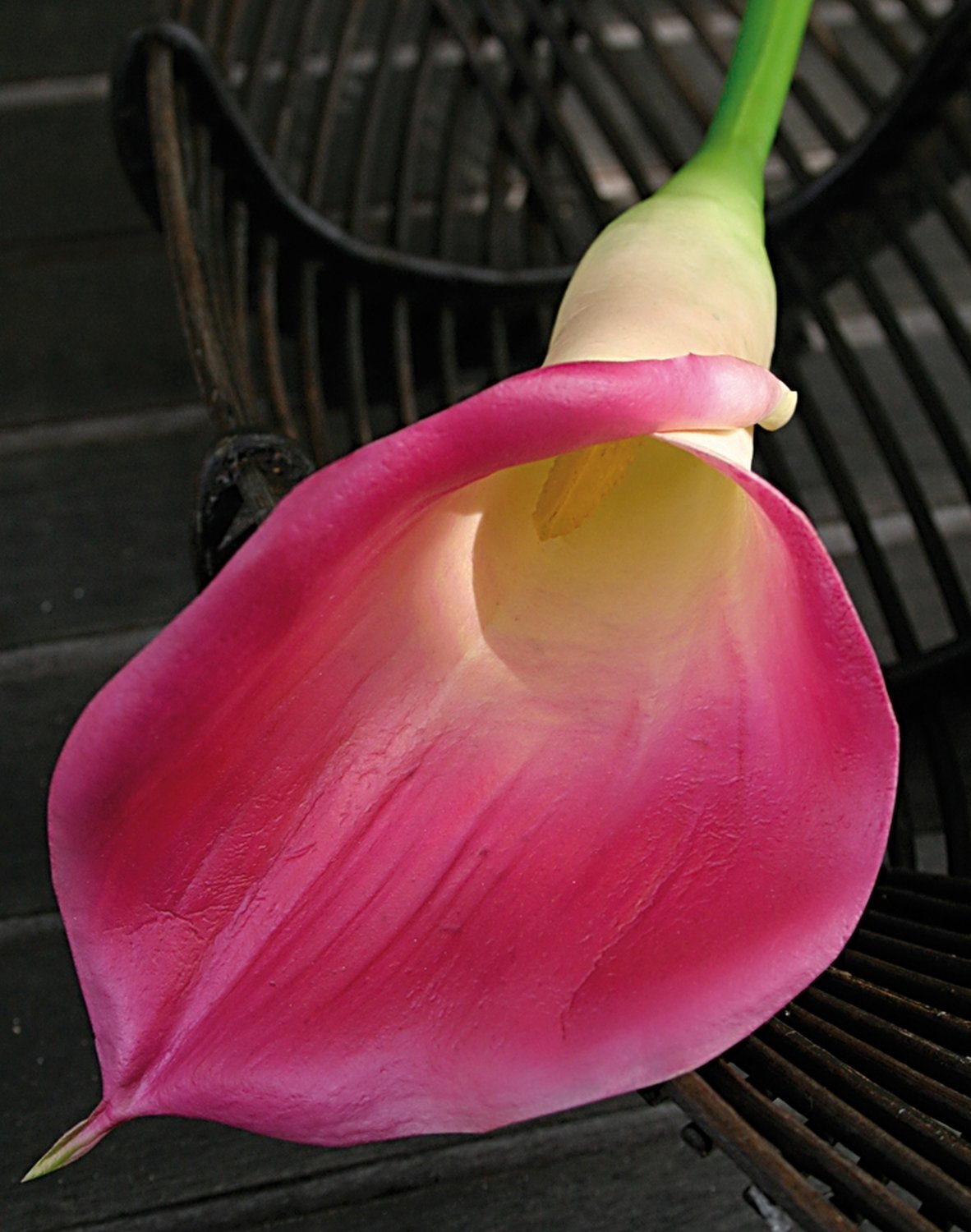 3830 515 a3 Пластиковая калла, 71 см, real touch soft, розовая H-andreas  - Вид №1