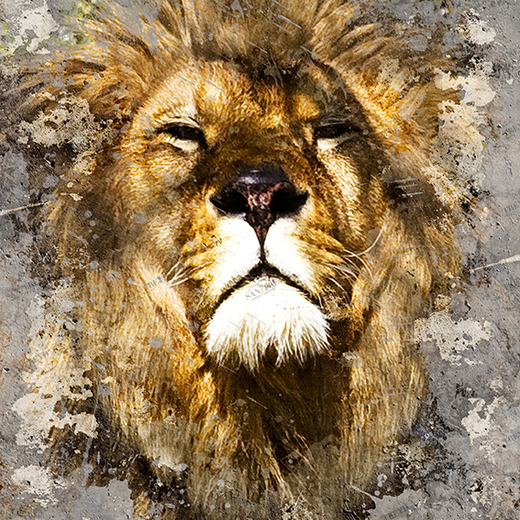 D2-029 Фотообои DIVINO Collection D 2.7х2 м D2029