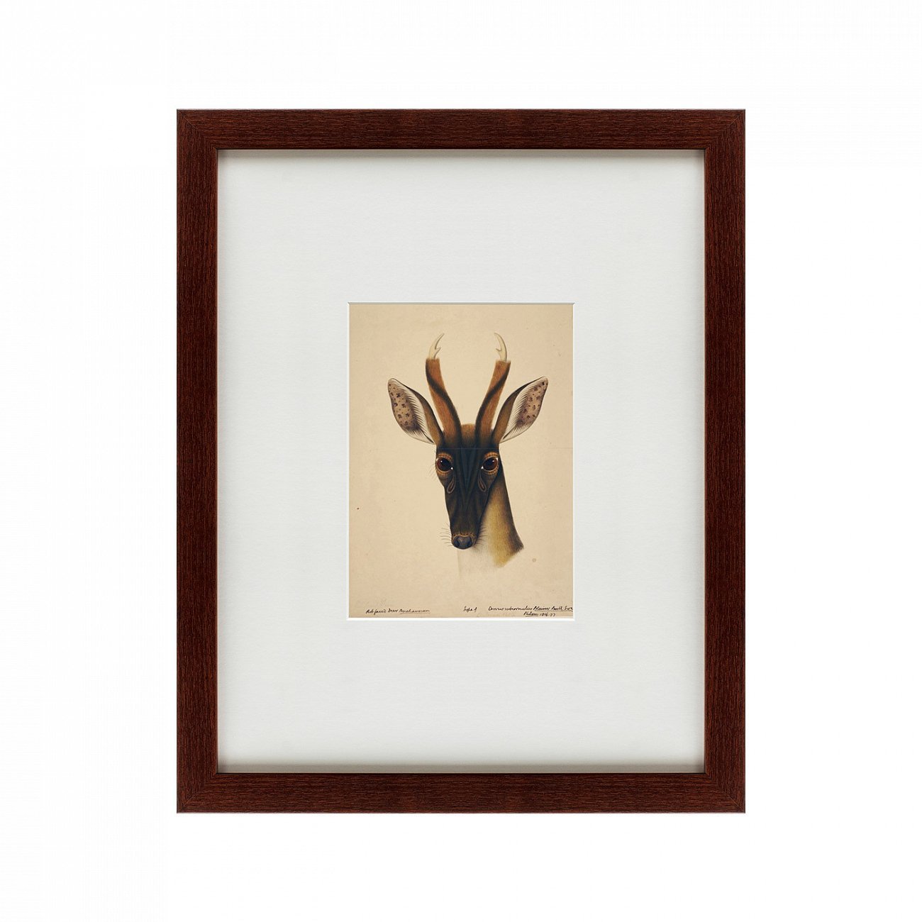 Литография на тонированной бумаге 42х52 см The deer head, 1816 КАРТИНЫ В КВАРТИРУ  135661 Бежевый;белый;коричневый;разноцветный  - Вид №1