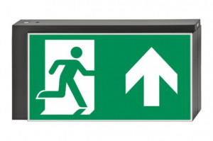 DST-4464 Lisu pennant Daisalux Светильники и спец. Металлический Серый