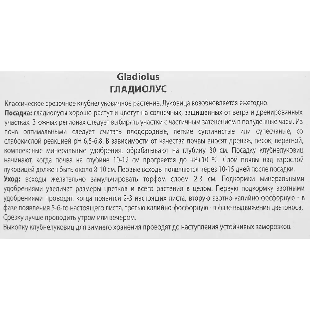 Гладиолус крупноцветковый Дэрд, 3 шт 86410029 STLM-2041623 ПОИСК  - Вид №2