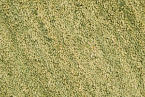 2000000056227 Ковер Roma 160х230 LINIE DESIGN