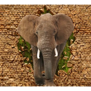 Фотообои Слон 3D флизелиновые 300x270 см 3223-Л