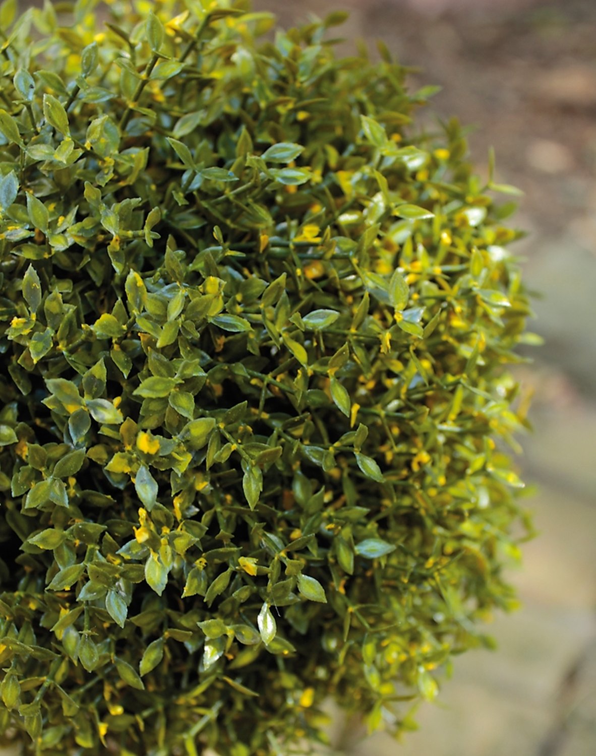 4967 883 a3 Искусственный коробчатый шар, горшок, 55 см, зеленый H-andreas  - Вид №4