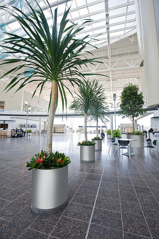 FSRT215 Универсальная сеялка  Forms-surfaces  - Вид №4