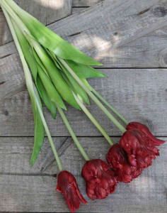 2951 444 a3 Искусственный попугай букет тюльпанов, 5-кратный, 47 см, красный H-andreas