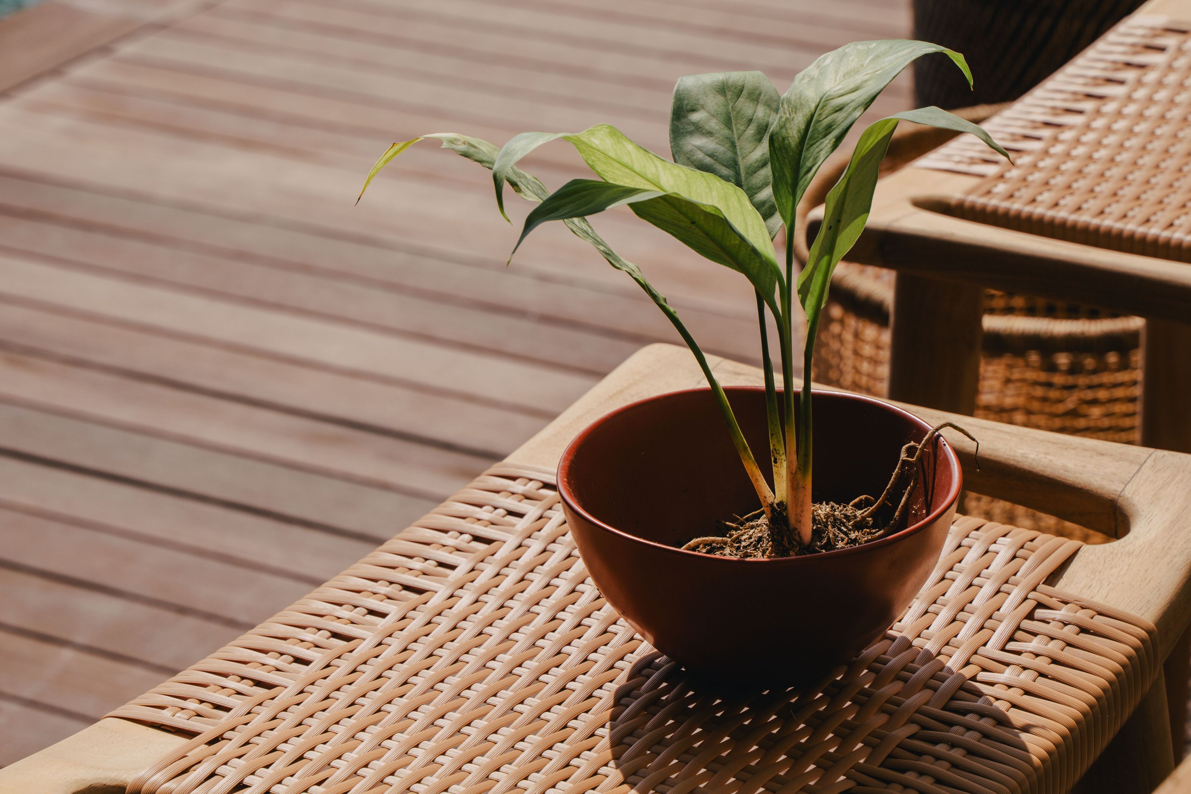 Высокий ТИК контрактный садовый стул с подставкой для ног cbdesign Бар ARCH-00136079 - Вид №4