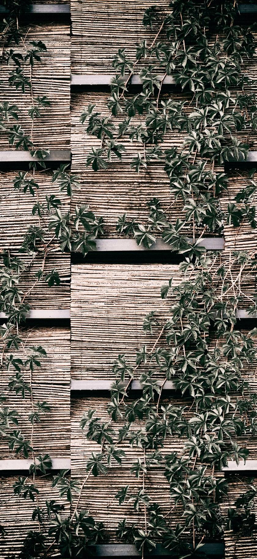 Wall&decò Обои для ванной Wet system 20 Wet_vp2001 / wet_vp2002 - Вид №1