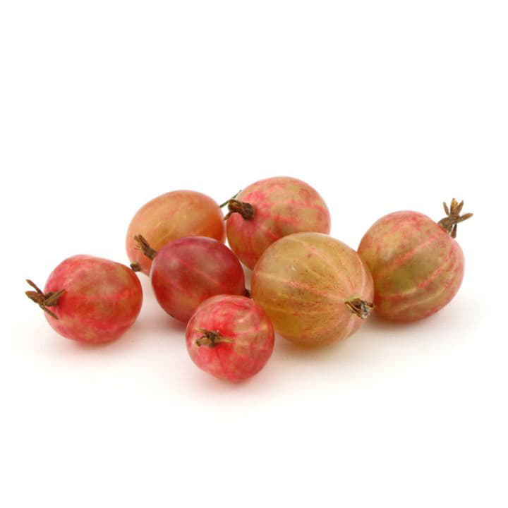 Крыжовник красный Santreyd 5060 - Вид №1