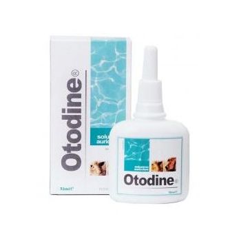 ПР0020023 Средство для лечения ушей Отодин 50мл ICF 