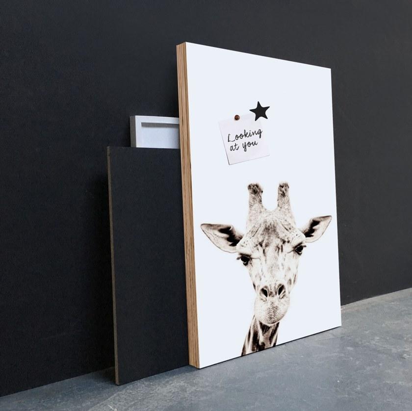 Groovy Magnets Магнитный плакат Animal Pos-62-gi - Вид №6