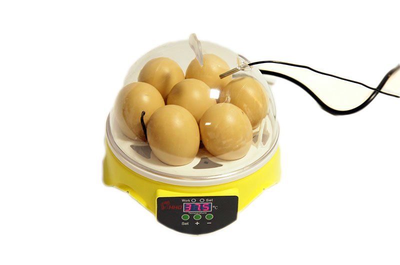 2003 Инкубатор для яиц Мини-7 LAB.Space  - Вид №1