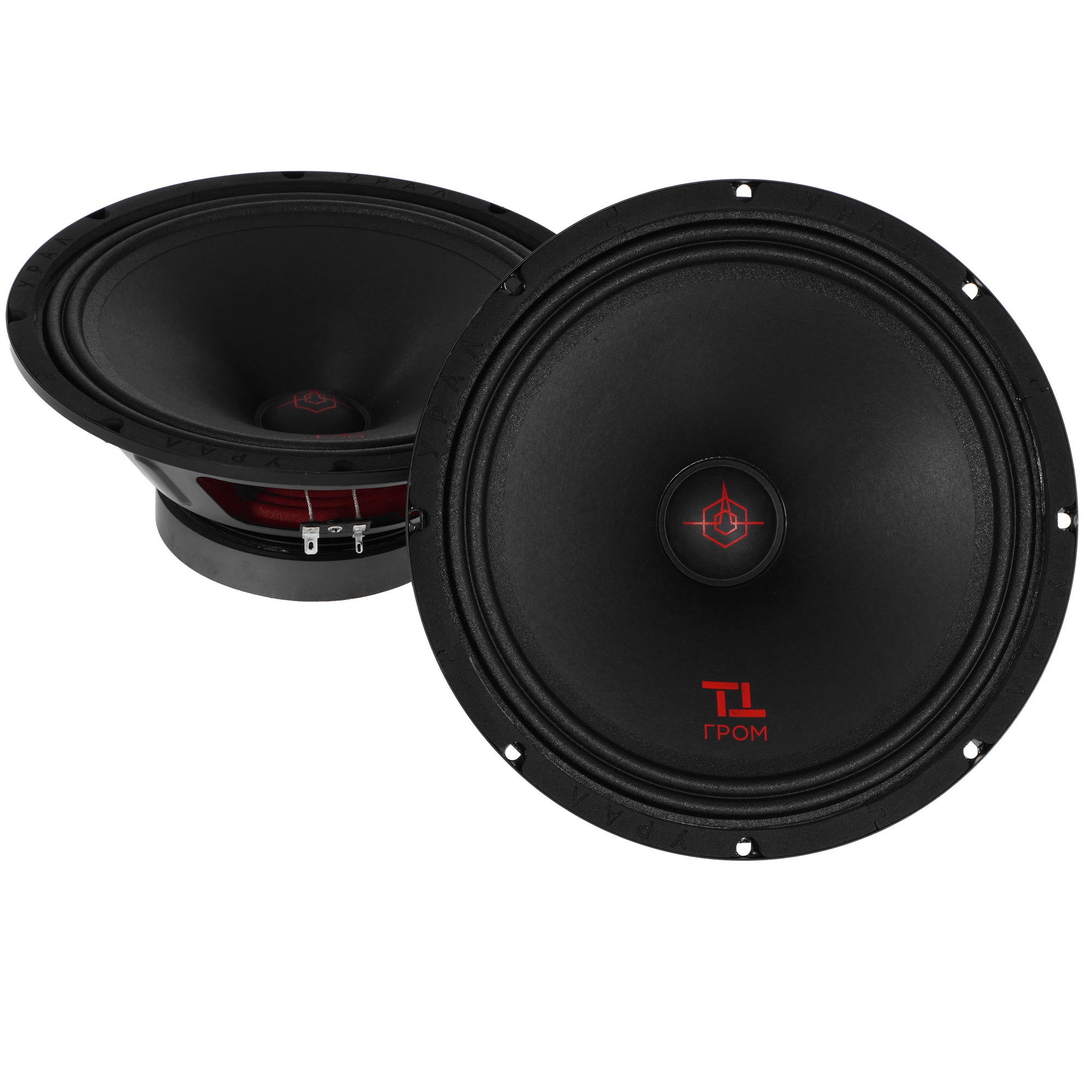 9958174 Мидбасовая акустическая система Ural ТТ 250 ГРОМ STDN-0084400