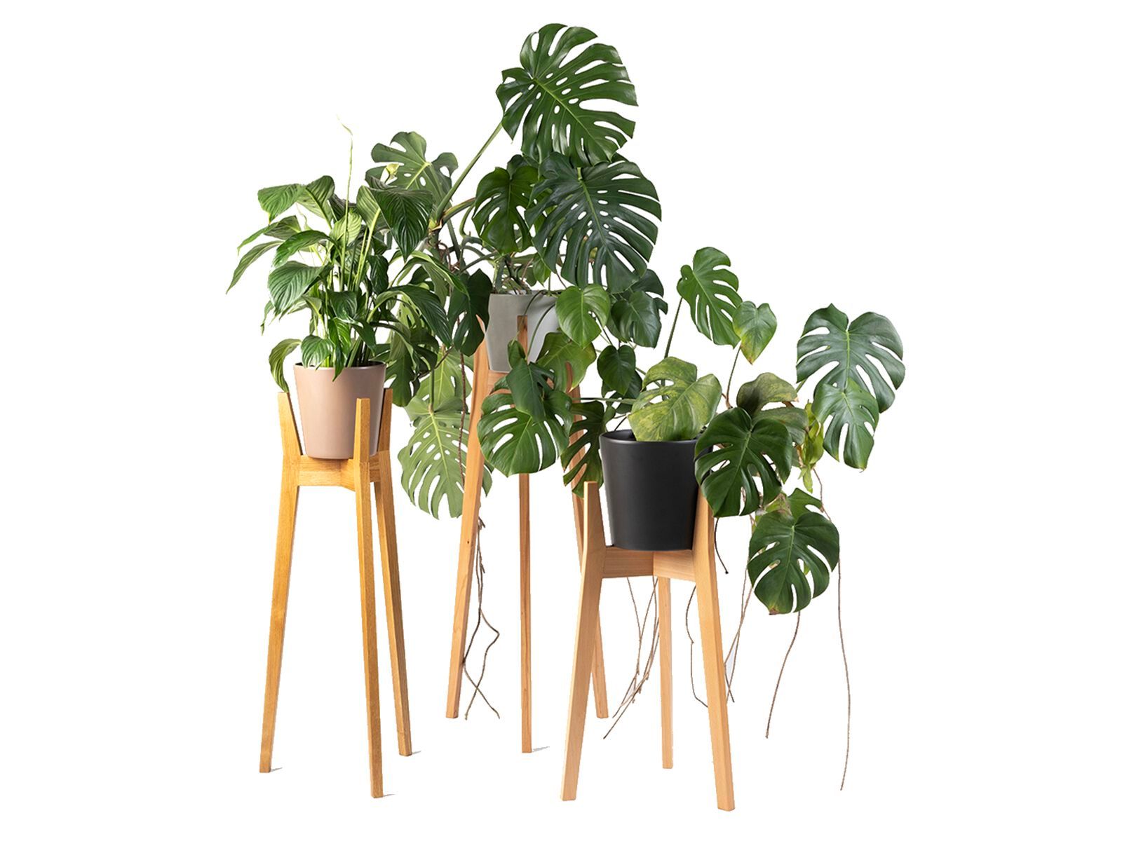 Держатель для горшка из массива дерева sixay furniture Тео ARCH-00056292