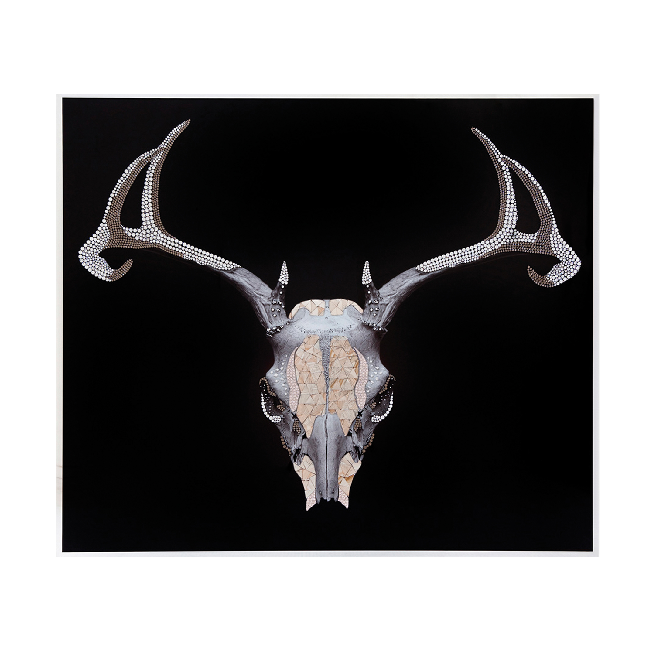 Trofeo Cervo Смешанная техника Visionnaire  - Вид №1