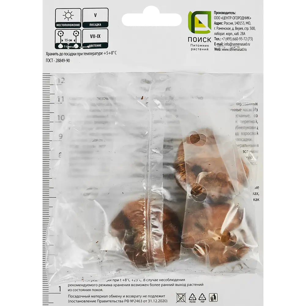 Гладиолус бамбино Веракс, 3 шт. 89351775 STLM-2087290 ПОИСК  - Вид №1