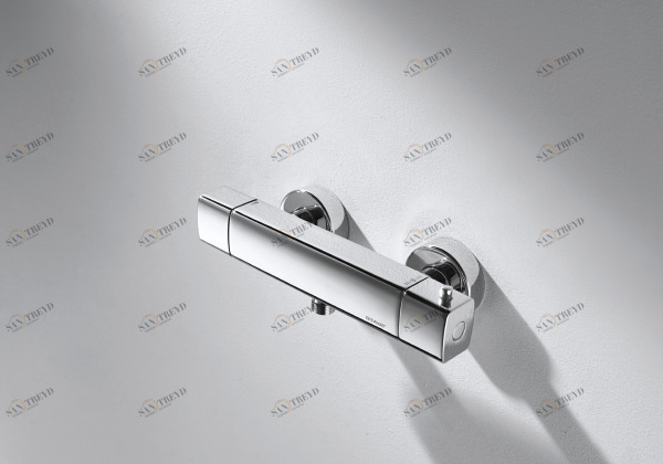 Смеситель термостатический для душа RAEL F999153C-01 bravat