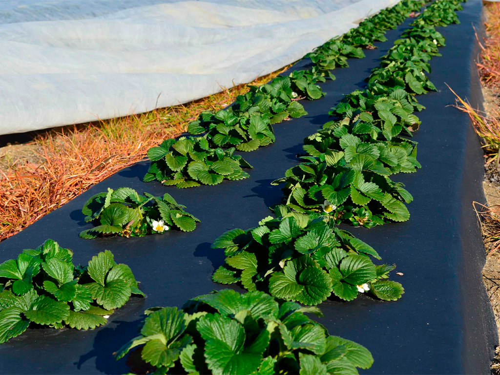 Геотекстиль 150 Строительный и садовый 1,6м x 25м ГеоПластБорд GPBST-108 - Вид №6