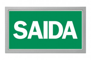 DST-614 Lisu flush-mounted Daisalux Светильники аварийные Серебристо-Серый