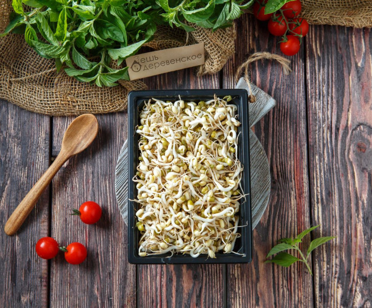 4995 Проростки Маша Вкусляндия  - Вид №2