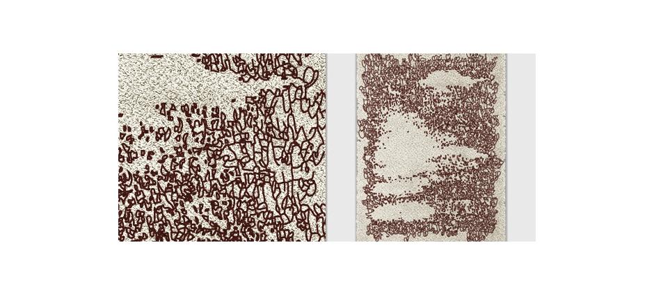 002634 Ковер Yupik Brabbu  - Вид №1